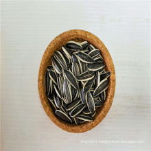 Dried Melon Seeds Oven Sunflower Seeds Tunel